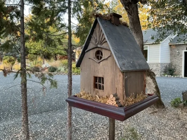 Northwoods Birdhouse - Outside