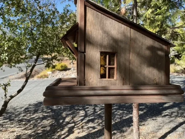 Lonesome Dove Birdhouse - Image 5