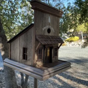 Lonesome Dove Birdhouse