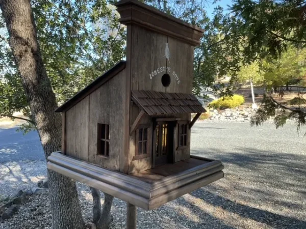 Lonesome Dove Birdhouse